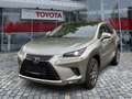 Lexus NX 300 h 300h Executive Line Pano ParkAss. ACC - thumbnail 1