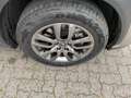 Lexus NX 300 h 300h Executive Line Pano ParkAss. ACC - thumbnail 6