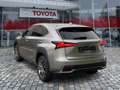 Lexus NX 300 h 300h Executive Line Pano ParkAss. ACC - thumbnail 3