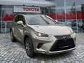 Lexus NX 300 h 300h Executive Line Pano ParkAss. ACC - thumbnail 5