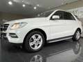 Mercedes-Benz ML 250 CDI BlueTec //EGSD//Leder// - thumbnail 7