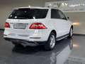 Mercedes-Benz ML 250 CDI BlueTec //EGSD//Leder// - thumbnail 6