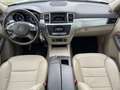 Mercedes-Benz ML 250 CDI BlueTec //EGSD//Leder// - thumbnail 9
