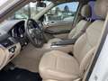 Mercedes-Benz ML 250 CDI BlueTec //EGSD//Leder// - thumbnail 10