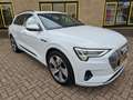 Audi e-tron e-tron 55 quattro advanced Pro Line Plus 95 kWh Wit - thumbnail 9