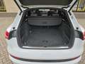 Audi e-tron e-tron 55 quattro advanced Pro Line Plus 95 kWh Wit - thumbnail 17