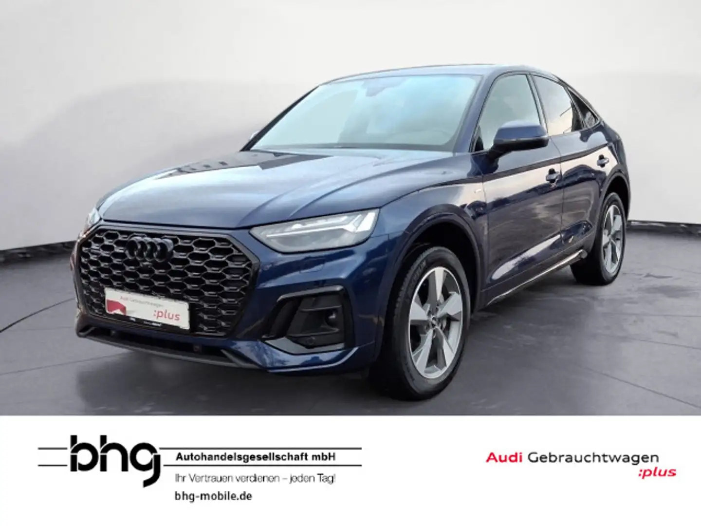 Audi Q5 S line 50 TDI quattro Sitzheizung Blau - 1