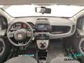 Fiat Panda Panda III 2021 Cross Panda 1.0 firefly hybrid Cro Blu/Azzurro - thumbnail 14