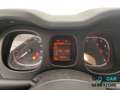 Fiat Panda Panda III 2021 Cross Panda 1.0 firefly hybrid Cro Blu/Azzurro - thumbnail 10