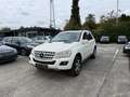 Mercedes-Benz ML 350 ML 350 (164.186) LPG Blanc - thumbnail 1