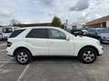 Mercedes-Benz ML 350 ML 350 (164.186) LPG Blanc - thumbnail 8