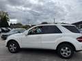 Mercedes-Benz ML 350 ML 350 (164.186) LPG Blanc - thumbnail 7