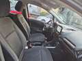 Ford EcoSport 1.0 EcoBoost 100 CV Business UNICO PROPRIETRAIO Schwarz - thumbnail 14