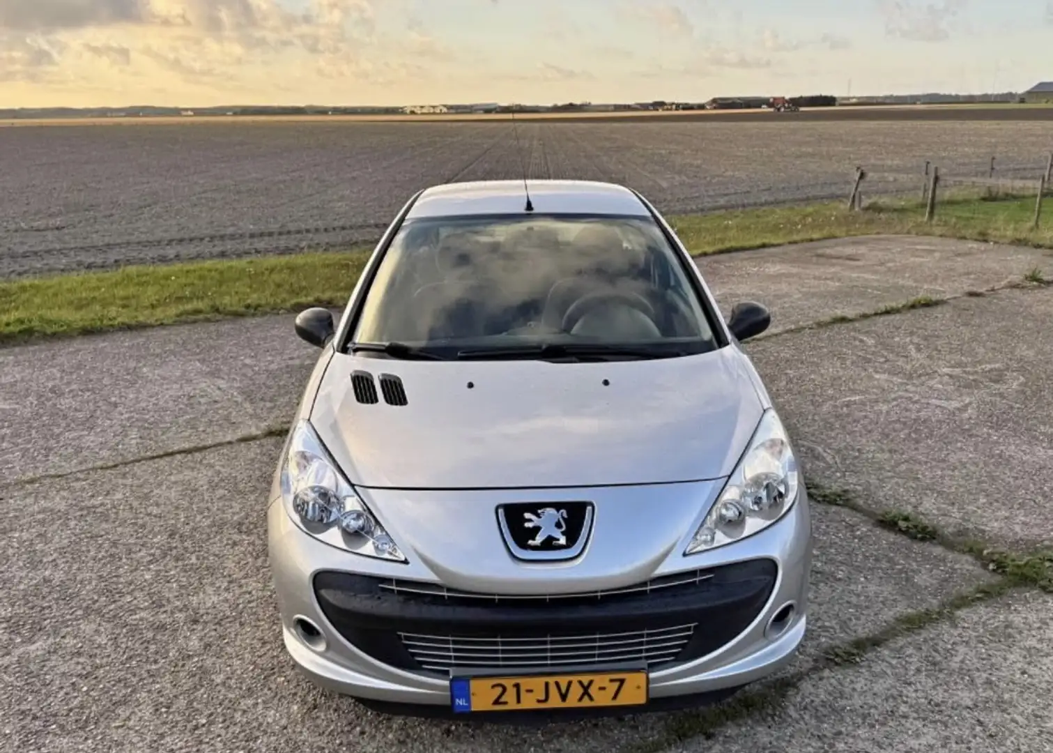 Peugeot 206 1.1 XR Grijs - 1