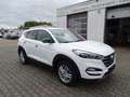 Hyundai TUCSON blue Passion 2WD Klima, Navigation, Sitzheizung Weiß - thumbnail 16