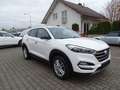 Hyundai TUCSON blue Passion 2WD Klima, Navigation, Sitzheizung Weiß - thumbnail 1