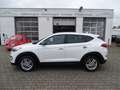Hyundai TUCSON blue Passion 2WD Klima, Navigation, Sitzheizung Weiß - thumbnail 4