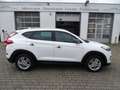 Hyundai TUCSON blue Passion 2WD Klima, Navigation, Sitzheizung Weiß - thumbnail 19