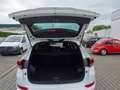 Hyundai TUCSON blue Passion 2WD Klima, Navigation, Sitzheizung Weiß - thumbnail 10
