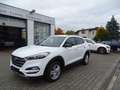 Hyundai TUCSON blue Passion 2WD Klima, Navigation, Sitzheizung Weiß - thumbnail 3