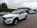 Hyundai TUCSON blue Passion 2WD Klima, Navigation, Sitzheizung Weiß - thumbnail 18