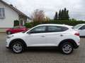 Hyundai TUCSON blue Passion 2WD Klima, Navigation, Sitzheizung Weiß - thumbnail 21
