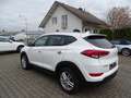 Hyundai TUCSON blue Passion 2WD Klima, Navigation, Sitzheizung Weiß - thumbnail 20