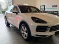 Porsche Cayenne Basis Weiß - thumbnail 3