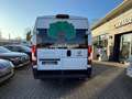 Fiat Ducato 35 160 Multijet L4H2*NAVI*AHK*AC*SHZ*DAB* Weiß - thumbnail 5