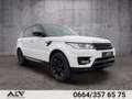 Land Rover Range Rover Sport HSE TDV6 3,0 Pano|Luft|2.Besitz! Weiß - thumbnail 1