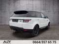 Land Rover Range Rover Sport HSE TDV6 3,0 Pano|Luft|2.Besitz! Weiß - thumbnail 4