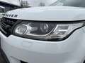 Land Rover Range Rover Sport HSE TDV6 3,0 Pano|Luft|2.Besitz! Weiß - thumbnail 13
