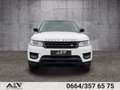 Land Rover Range Rover Sport HSE TDV6 3,0 Pano|Luft|2.Besitz! Weiß - thumbnail 5