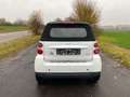 smart forTwo fortwo cabrio Micro Hybrid Drive 52kW Argent - thumbnail 7