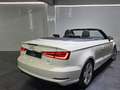 Audi A3 Cabrio 1.6TDI CD Ambition Blanco - thumbnail 7