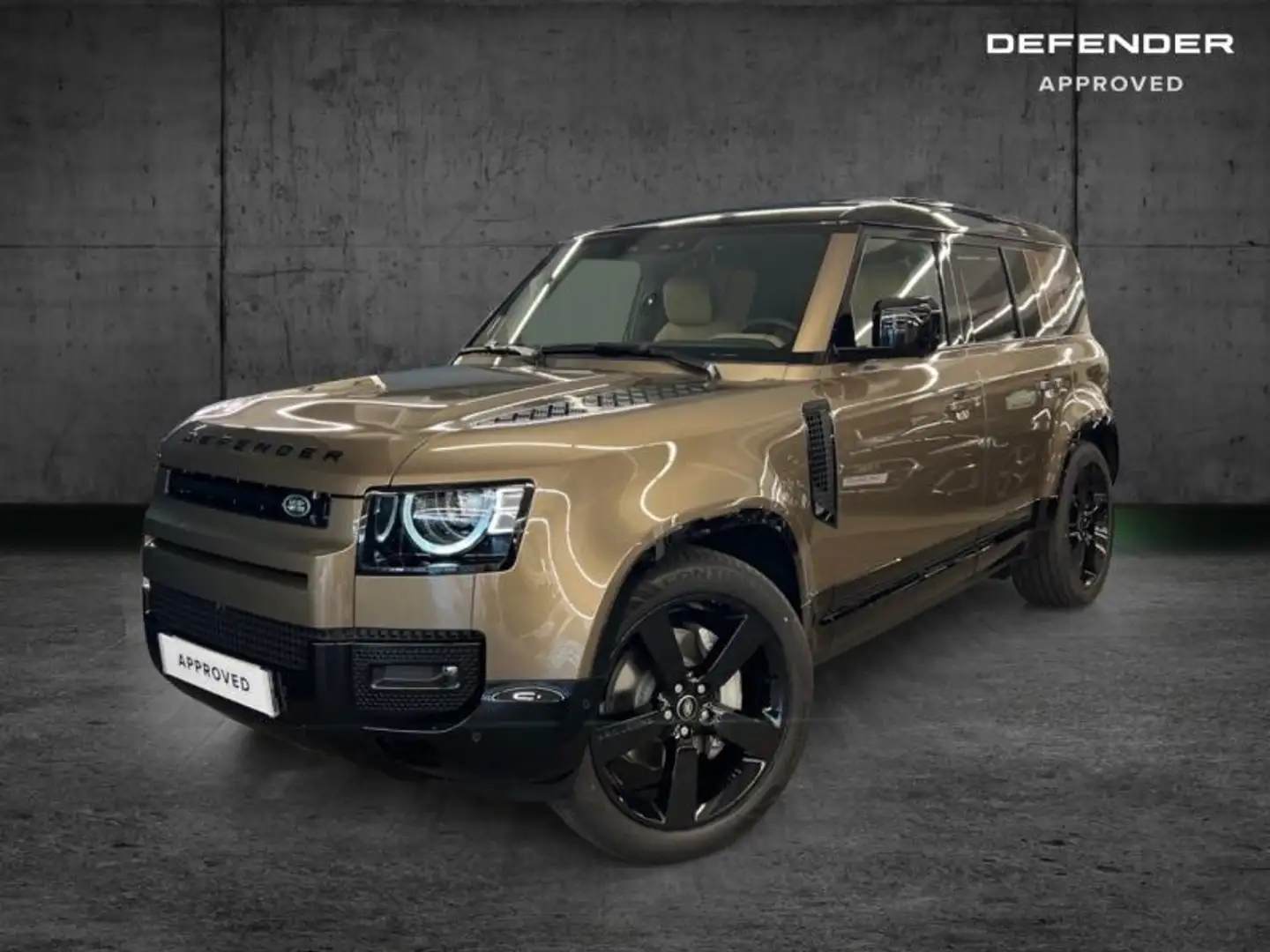 Land Rover Defender 110 2.0 P300e X-Dynamic HSE - 1