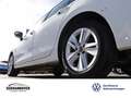 Volkswagen Golf VIII Life 1.5 TSI NAVI+LED+SHZ+PDC+GRA Weiß - thumbnail 6