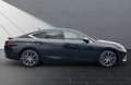 Lexus ES 300 ES 300h Business Line Negru - thumbnail 5
