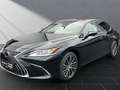 Lexus ES 300 ES 300h Business Line Negru - thumbnail 1