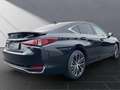 Lexus ES 300 ES 300h Business Line Negru - thumbnail 8