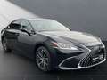 Lexus ES 300 ES 300h Business Line Negru - thumbnail 2