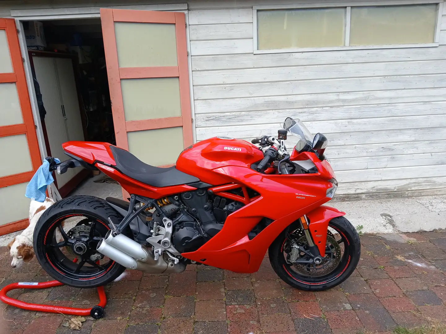 Ducati SuperSport Rojo - 2