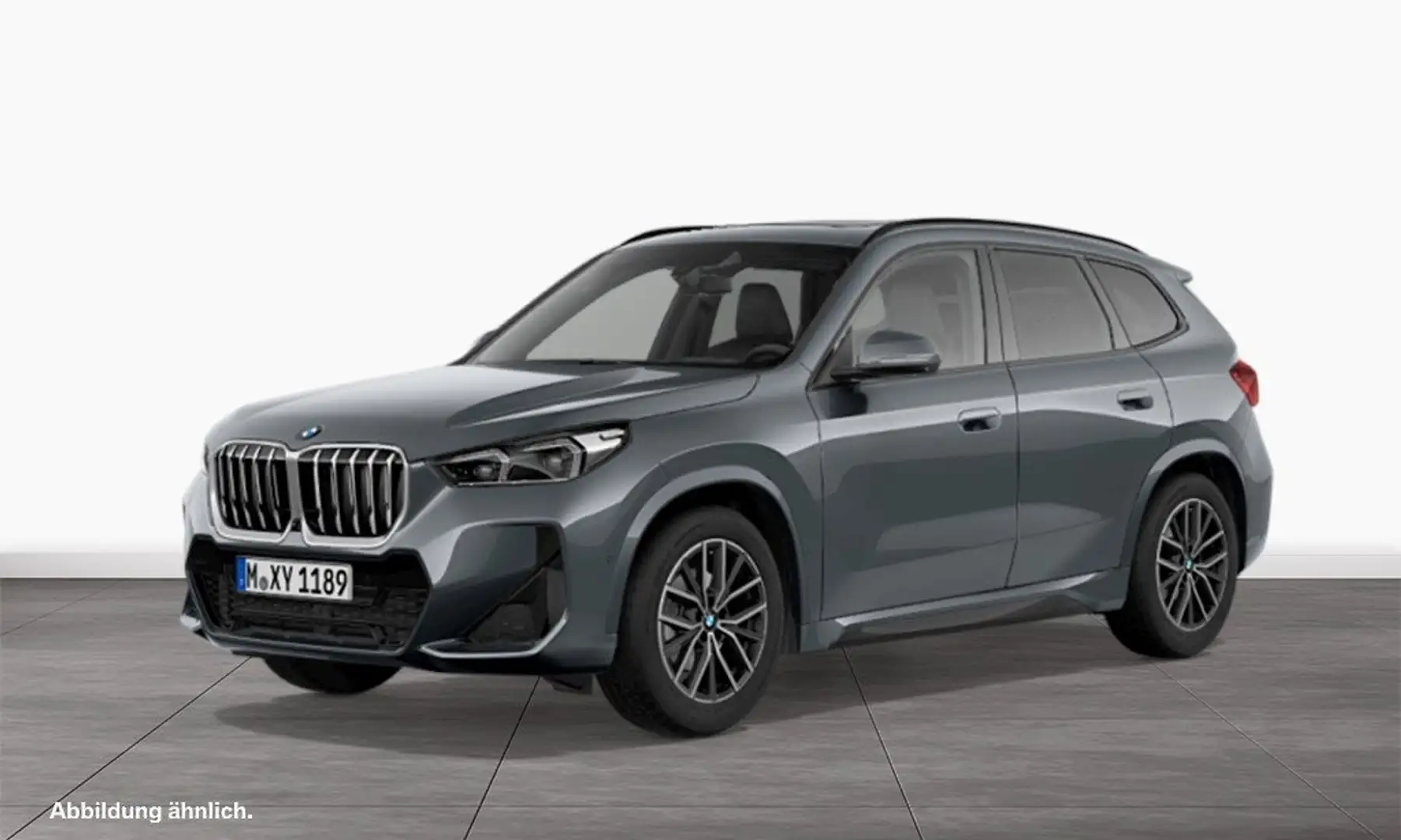 BMW X1 sDrive20i M Sportpaket Head-Up HK HiFi DAB Grau - 1