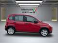 Fiat Panda 1.0 Gse Hybrid Rojo - thumbnail 5