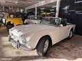 Triumph TR3 TR tr4 Alb - thumbnail 3