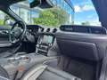 Ford Mustang GT CABRIOLET V8 5.0L Grey - thumbnail 14