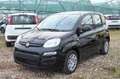 Fiat Panda 1.0 FireFly S&S Hybrid Pop Nero - thumbnail 1