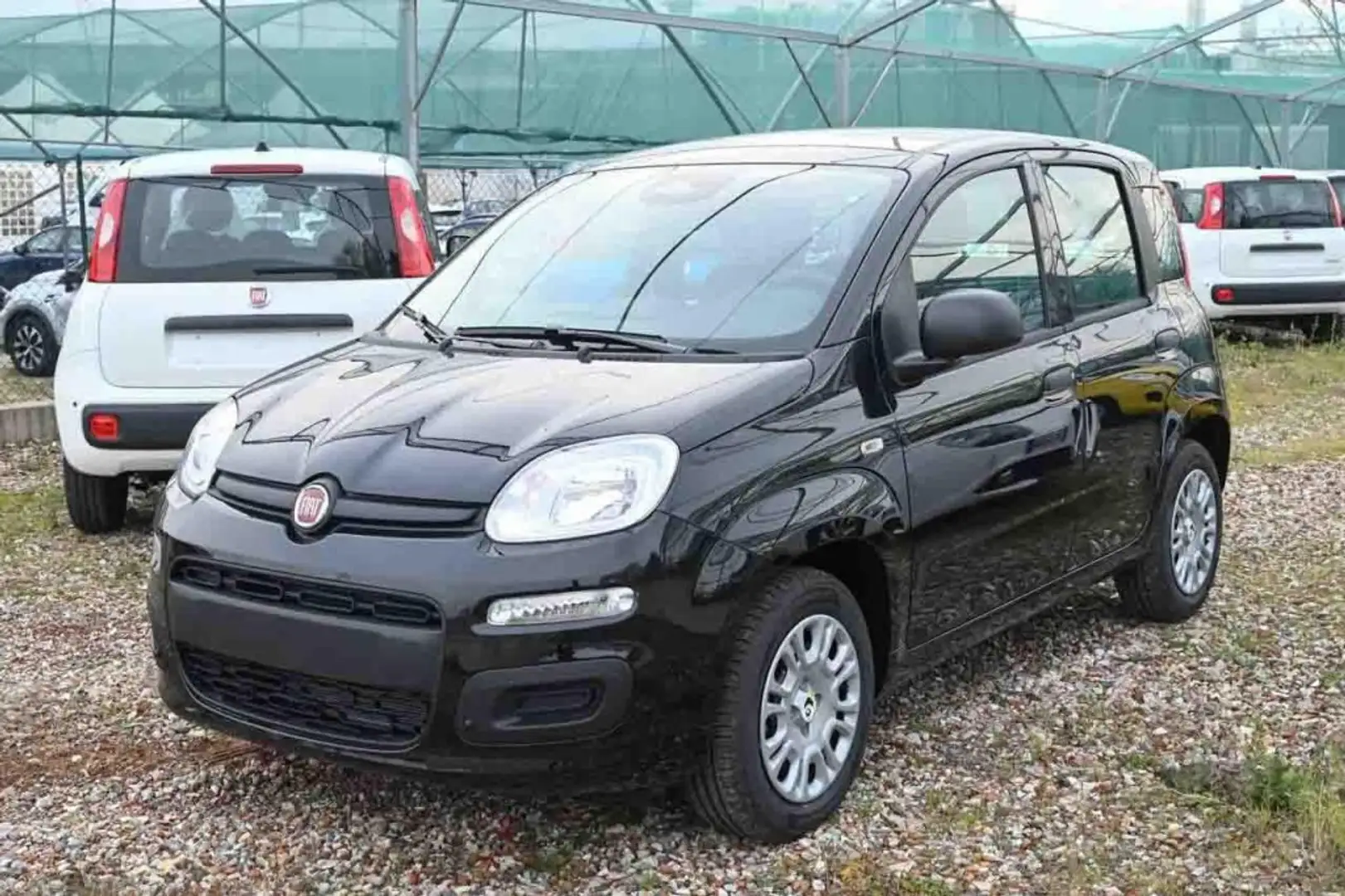 Fiat Panda 1.0 FireFly S&S Hybrid Pop Nero - 1