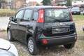 Fiat Panda 1.0 FireFly S&S Hybrid Pop Nero - thumbnail 7