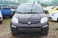 Fiat Panda 1.0 FireFly S&S Hybrid Pop Nero - thumbnail 2